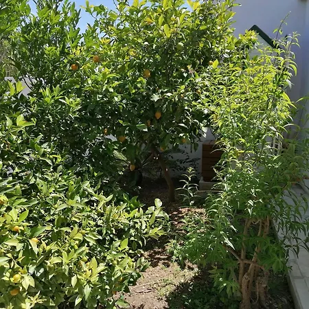 Paisible Proche Calanques Et Centre