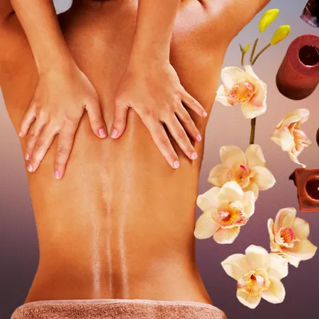 Paisible Proche Calanques Et Centre Séjour chez l'habitant *